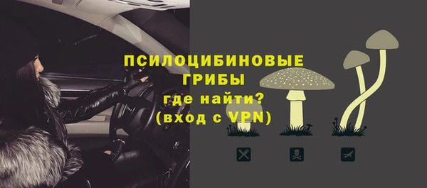 индика Семёнов